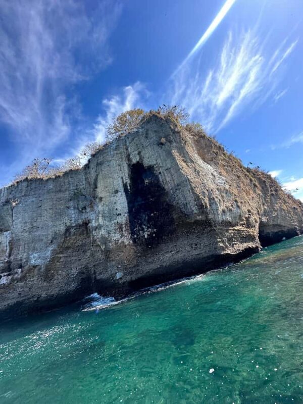 Puerto Vallarta: Snorkel y tour de 2 hrs en bote a Los Arcos - Additional Highlights: Wildlife and Nature