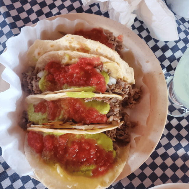 Puerto Vallarta: Taco Tour Experience - The Value of the Experience