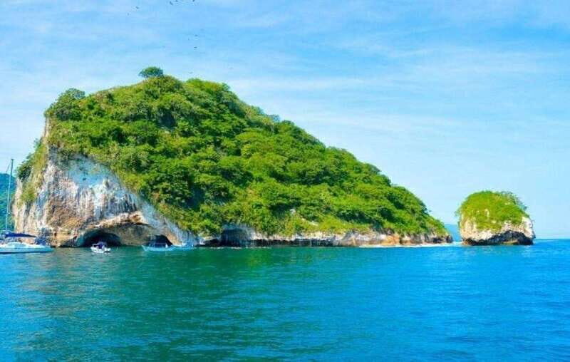 Puerto Vallarta: The Predator of the Sea - Key Points