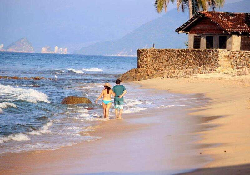 Puerto Vallarta: The Predator of the Sea - The Experience from Guests’ Perspectives