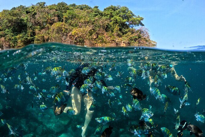 Puerto Vallarta: Tropical Fish Snorkeling and Zipline Tour - A Deep Dive into the Tour Experience