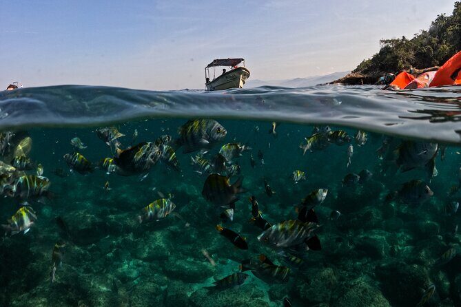 Puerto Vallarta: Tropical Fish Snorkeling and Zipline Tour - FAQs