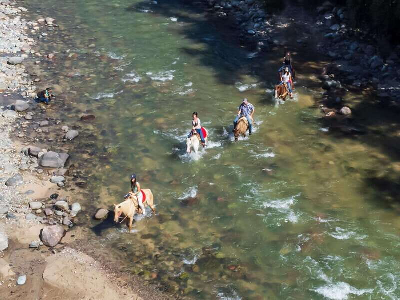 Puerto Vallarta: Tropical Forest Horseback Riding Adventure - A Long-Form Review of the Tropical Forest Horseback Ride