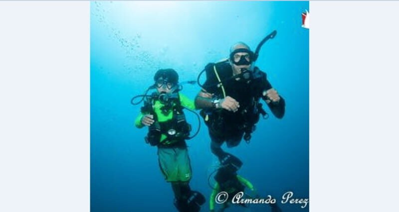 Puerto Vallarta: Underwater Wonderland at Los Arcos - What Makes This Tour Stand Out?  