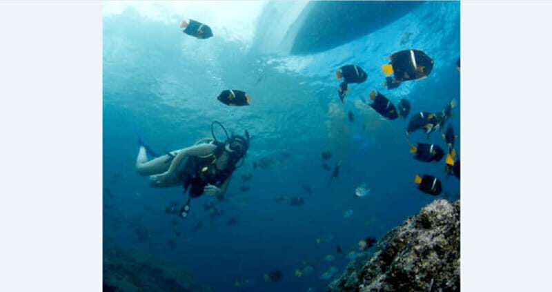 Puerto Vallarta: Underwater Wonderland at Los Arcos - In-Depth Look at the Itinerary  