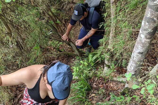 Puerto Vallarta Waterfall Hike - Traveler Feedback