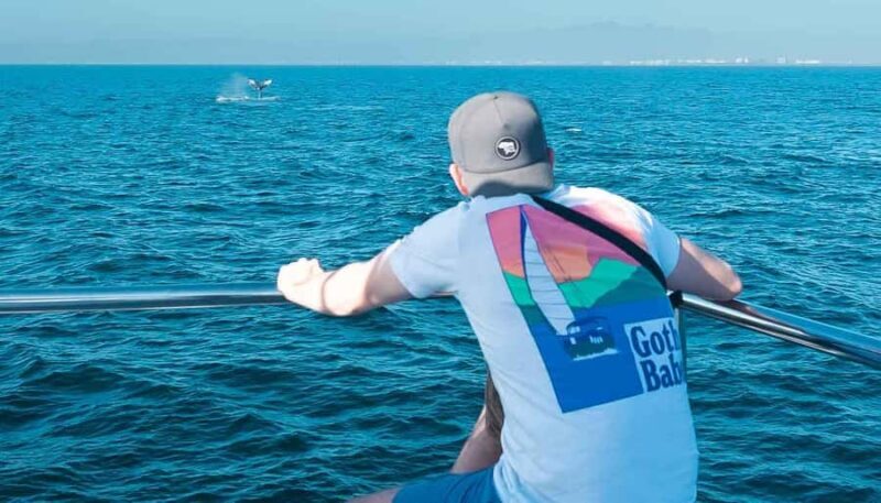 Puerto Vallarta: Whale Watching All Inclusive Experience - Final Thoughts