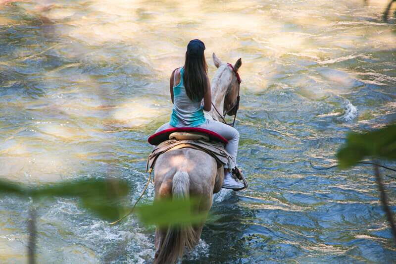 Puerto Vallarta: Wild Tour Horseback Adventure - Key Points