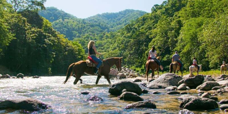 Puerto Vallarta: Wild Tour Horseback Riding Experience - An In-Depth Look at the Wild Tour Horseback Riding Experience