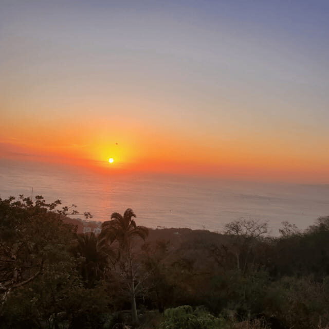 Puerto Vallarta: Zipline Experience and Tour - Key Points