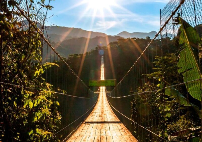 Puerto Vallarta: ZipLine for Cruise Ship Passengers - FAQs