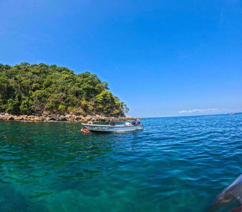 Puerto Vallarta: Zipline Tour, Snorkel & Secret Beach Escape - Who Will Love This Tour?