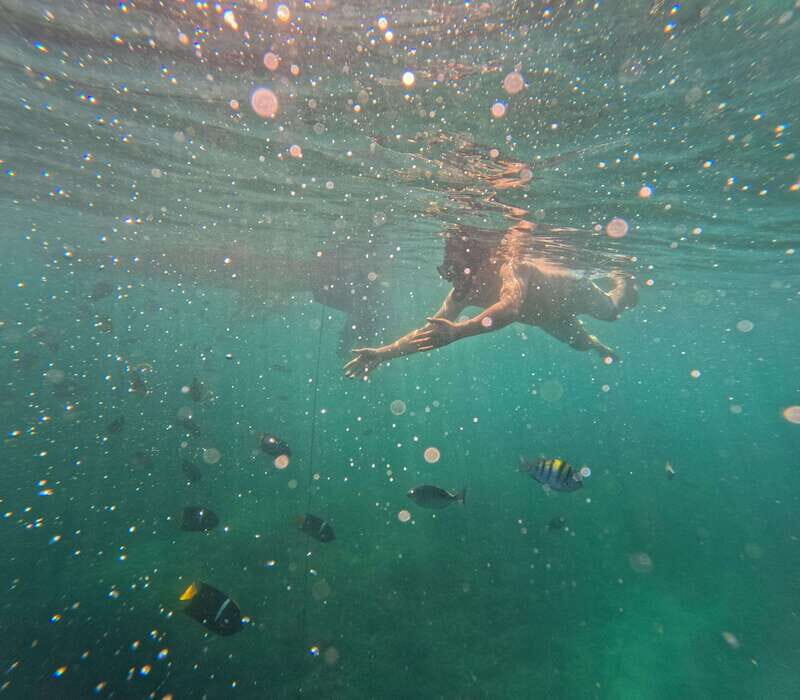 Puerto Vallarta: Zipline Tour, Snorkel & Secret Beach Escape - The Sum Up