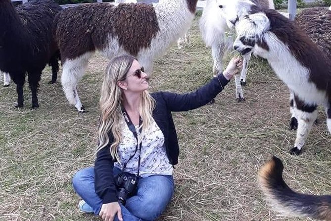 Puerto Varas Excursion, Petrohue Falls, Osorno Volcano - Traveler Reviews and Concerns