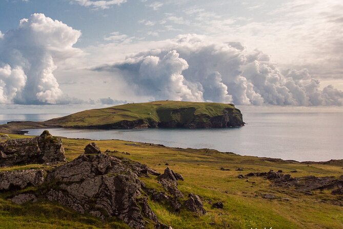 Puffin and Volcano Boat Tour Review - Guiding and Activities