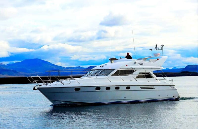 Puffin Watching Yacht Cruise from Downtown Reykjavík - Authenticity and Experience