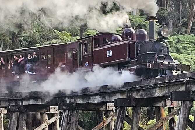 Puffing Billy and The Dandenong Ranges Private Experience - What the Tour Offers: A Detailed Breakdown