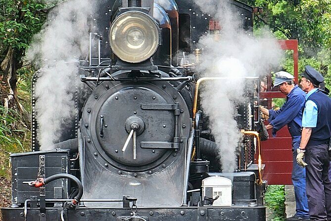 Puffing Billy and The Dandenong Ranges Private Experience - Final Thoughts