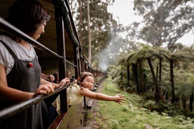 Puffing Billy, Forest Trails and Yarra Valley Discovery Tour - An Overview of the Experience