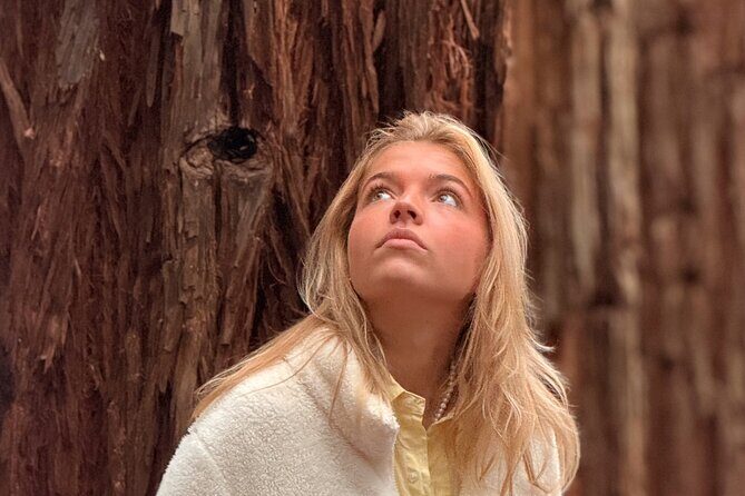 Puffing Billy, Forest Trails and Yarra Valley Discovery Tour - The Value of the Experience