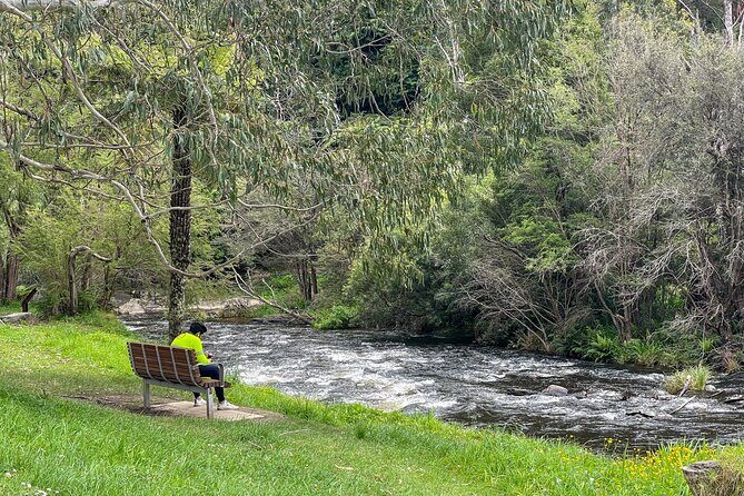 Puffing Billy, Forest Trails and Yarra Valley Discovery Tour - Who Should Consider This Tour?