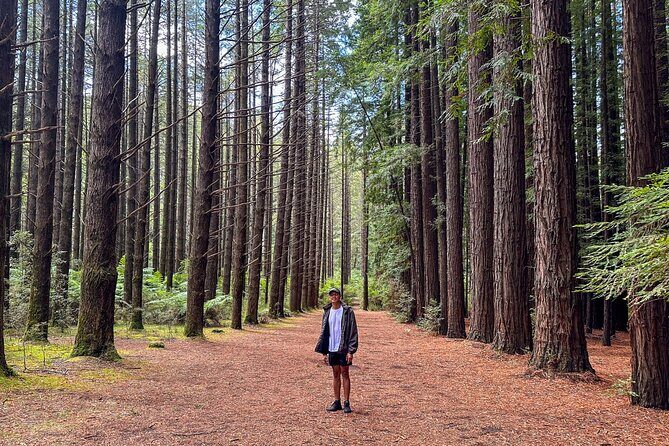 Puffing Billy, Forest Trails and Yarra Valley Discovery Tour - The Sum Up