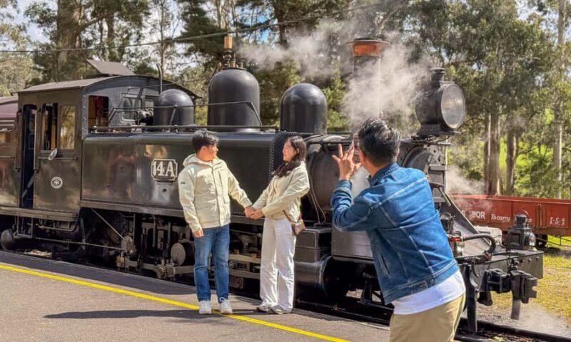 Puffing Billy, Forest Trails & Yarra Valley Discovery Tour - Key Points