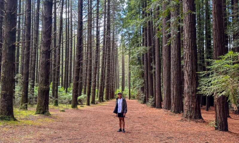 Puffing Billy, Forest Trails & Yarra Valley Discovery Tour - FAQ