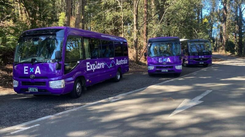 Puffing Billy, Healesville Sanctuary & Chocolatier - The Sum Up