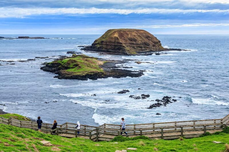 Puffing Billy Penguin Parade Mercedes Minibus Hotel Pickup - Wildlife Encounters at Maru Koala and Animal Park