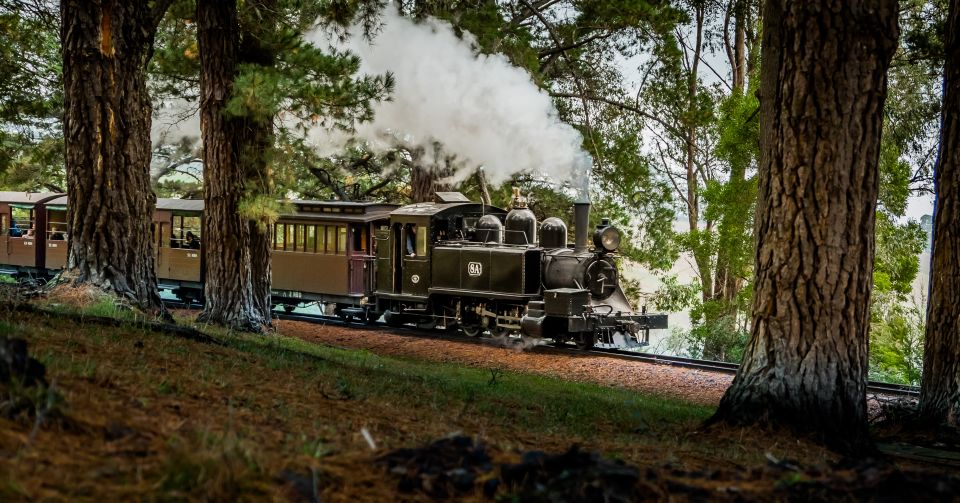 Puffing Billy Railway: Heritage Steam Train Journey - Experience Highlights