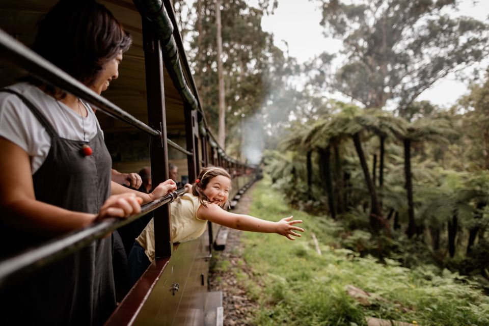 Puffing Billy Railway: Heritage Steam Train Journey - Full Description