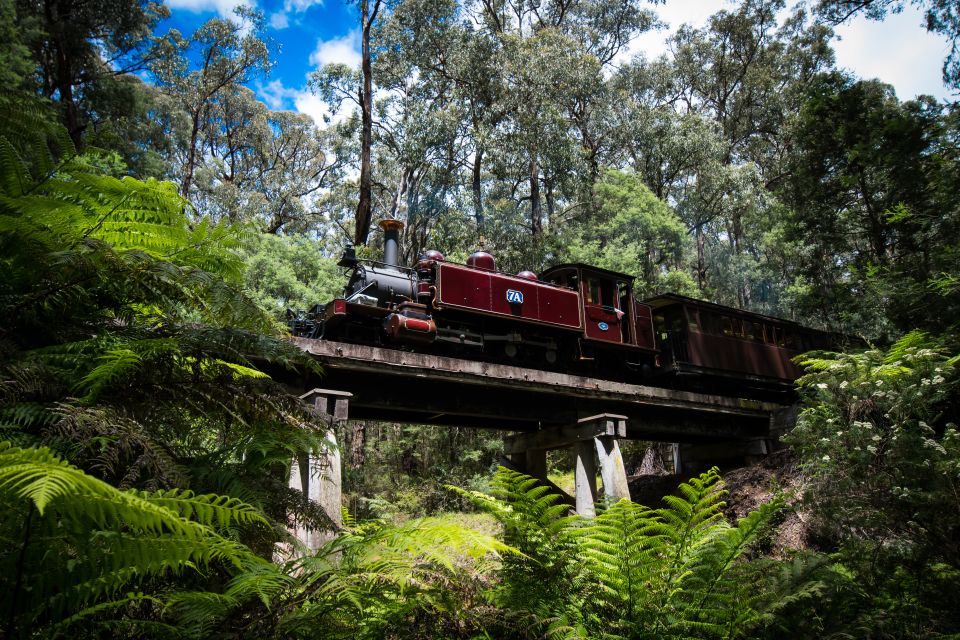 Puffing Billy Railway: Heritage Steam Train Journey - Additional Information