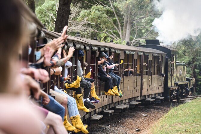 Puffing Billy Steam Train and Penguins Wildlife Tour - Key Points