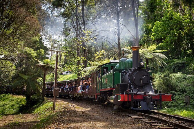 Puffing Billy Steam Train and Penguins Wildlife Tour - A Deeper Dive into the Experience