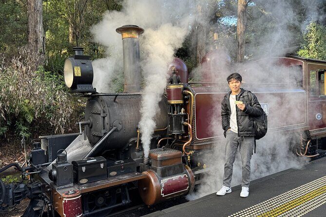 Puffing Billy Steam Train Rainforest Tour and Yarra Valley Treats - Key Points