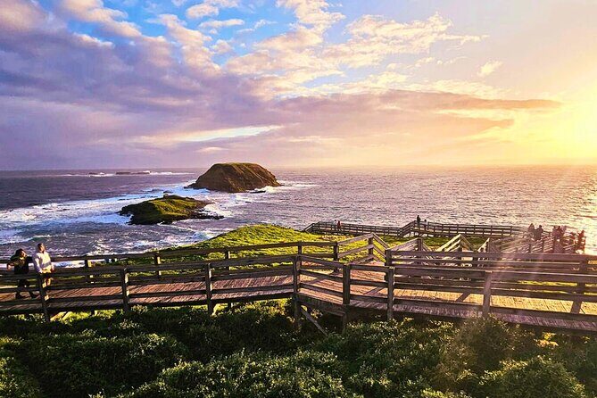 Puffing Billy Tour and Penguin Parade from Melbourne - Frequently Asked Questions