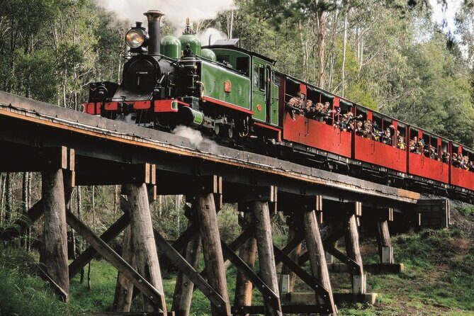 Puffing Billy Train and Phillip Island Penguin Parade Day Tour - Who Will Love This Tour?