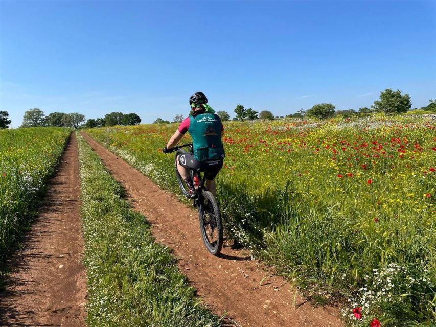 Puglia/Bari: a Bike Experience Among Vineyards and Wineries - Wine and Food Pairing