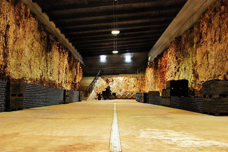 Puglia/Bari: a Bike Experience Among Vineyards and Wineries - Recap