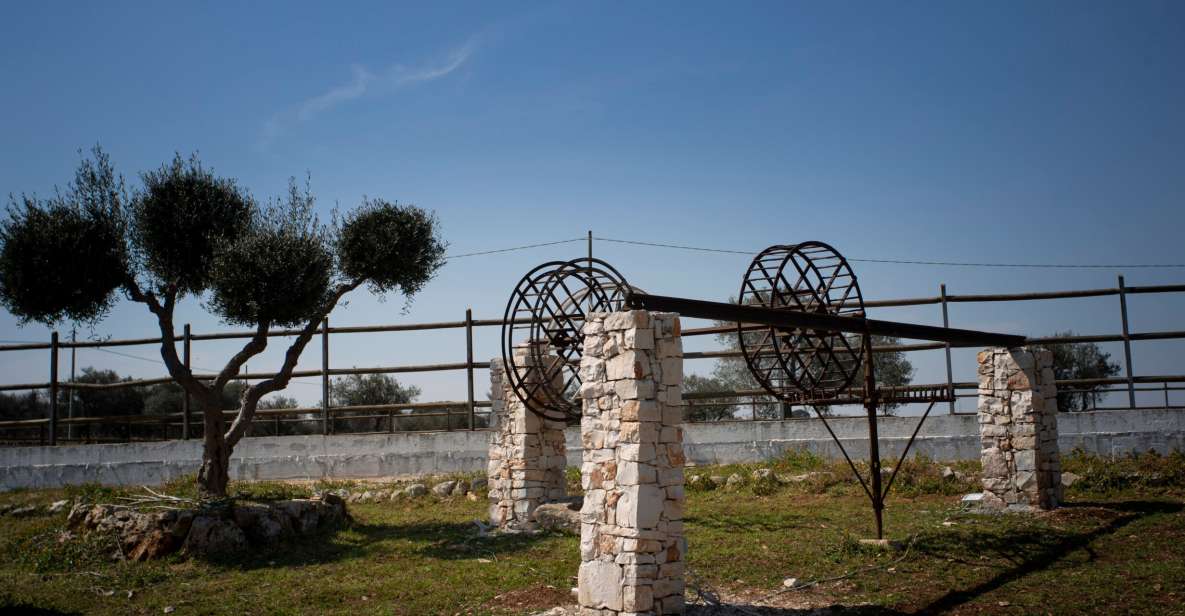 Puglia/Bari: Ebike Tour & Wine - Key Points