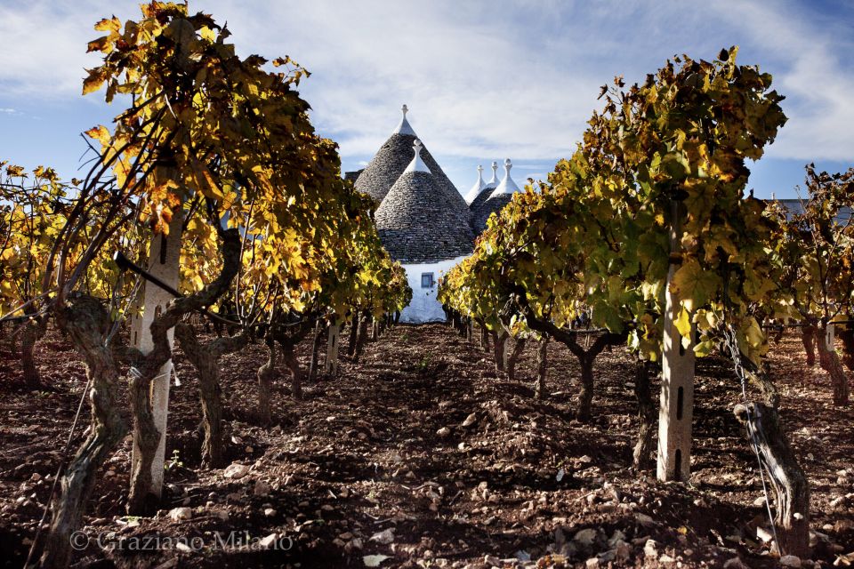 Puglia/Bari: Ebike Tour & Wine - Duration and Group Size