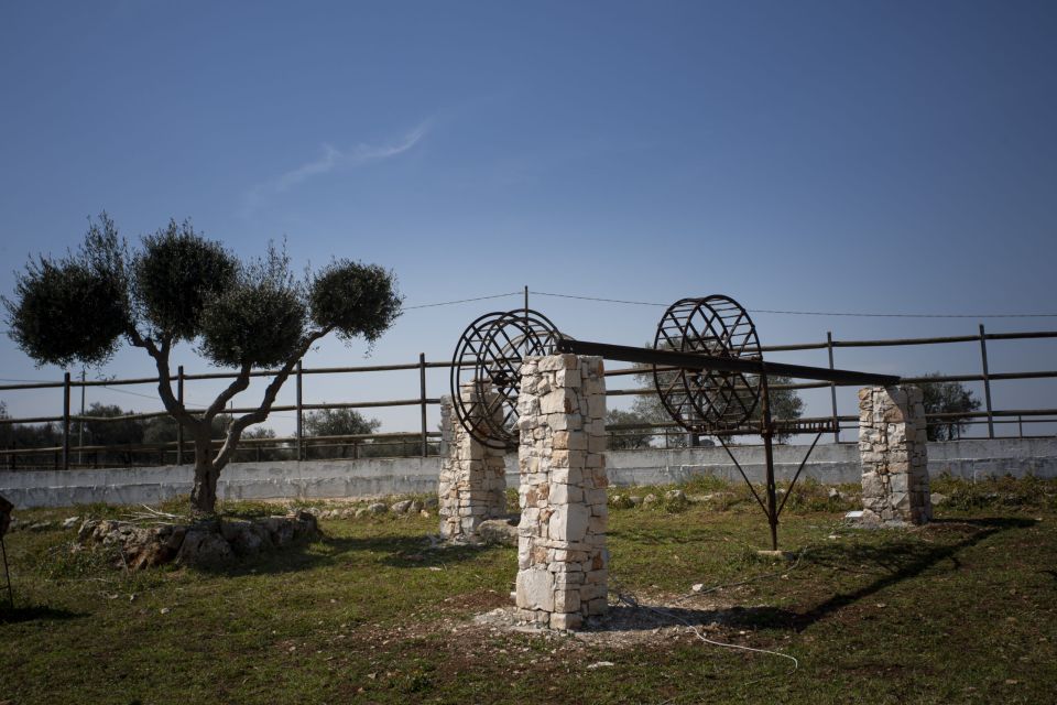 Puglia/Bari: Ebike Tour & Wine - Included and Not Suitable