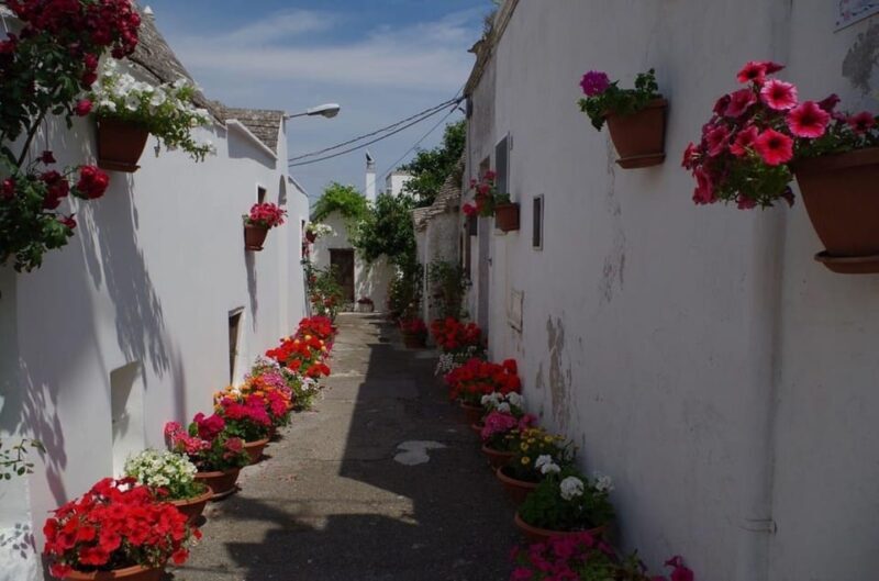 Puglia: Conversano, Alberobello and Monopoli Private Tour - FAQ