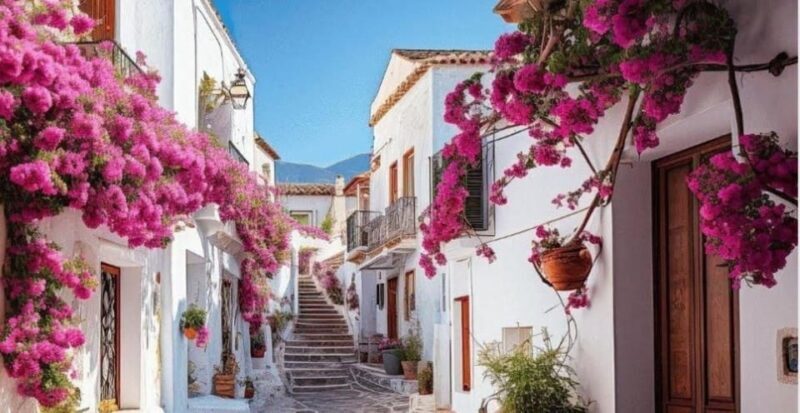 Puglia: Locorotondo, Cisternino, and Ostuni Private Tour - An In-Depth Look at the Puglia Private Tour