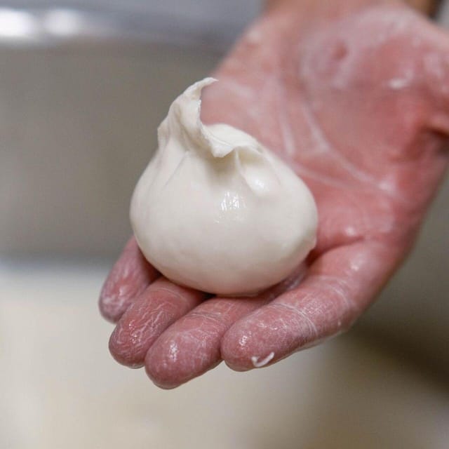 Puglia: Masseria Seppunisi Tour, Cheese, Burrata Tasting - Key Points