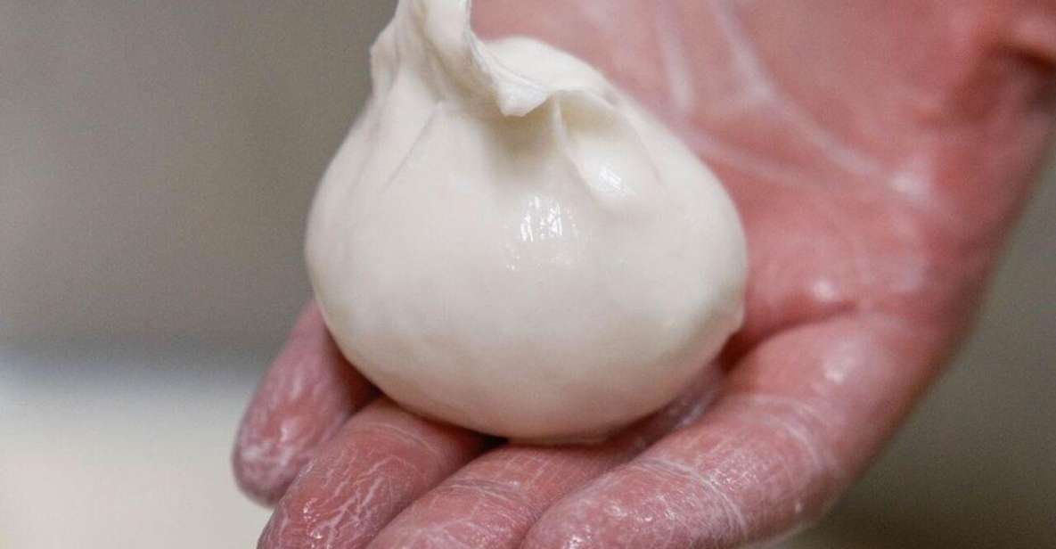 Puglia: Masseria Seppunisi Tour, Cheese, Burrata Tasting - Historical Context of Masseria