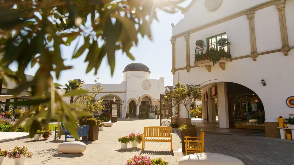 Puglia Village Experience - Molfetta: With Shared Transfer - Itinerary Highlights
