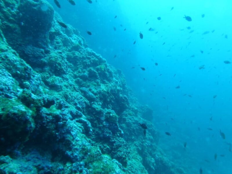 Pula: 2.5-Hour Snorkelling Experience - Final Thoughts: Who Will Love This Tour?