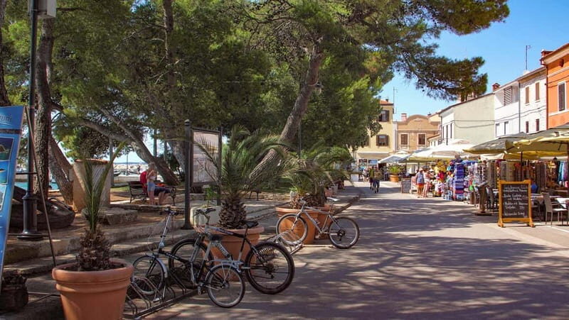 Pula: All-Inclusive Brijuni Boat Tour w Lunch, Drinks & Swim - Authentic Feedback from Travelers